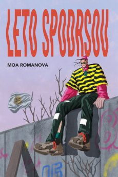 Naslovnica Leto spodrsov