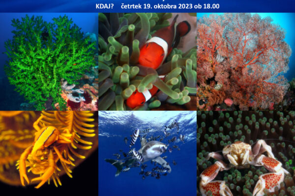 Pod morjem okoli sveta