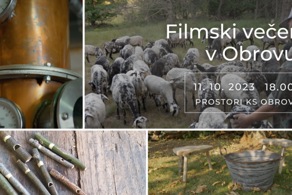 Brćinsko-čićki’ filmski večer