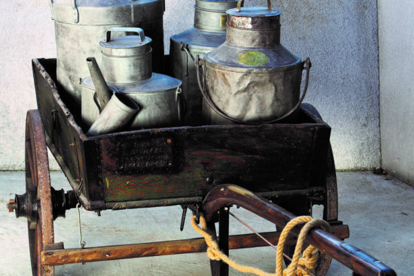 Predstavitev knjige “Mlekarice, potovke in prevozniki na poti v Trst”