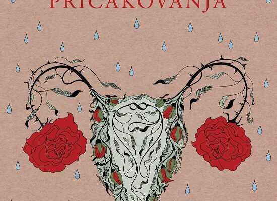 Predstavitev romana ”Pričakovanja” Anje Mugerli