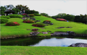 S knjižnim nahrbtnikom po Japonski - oktober 2025