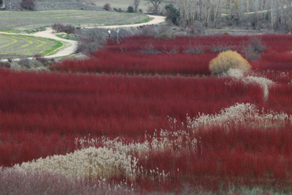 S knjižnim nahrbtnikom na potep po Španiji